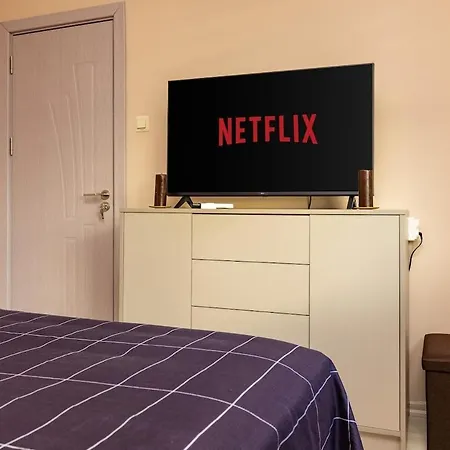 公寓 South Beautiful Vaptsarov 普罗夫迪夫