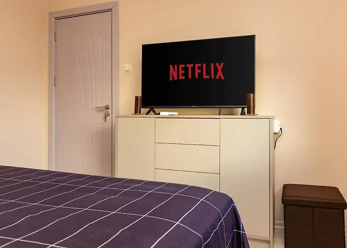 公寓 South Beautiful Vaptsarov 普罗夫迪夫