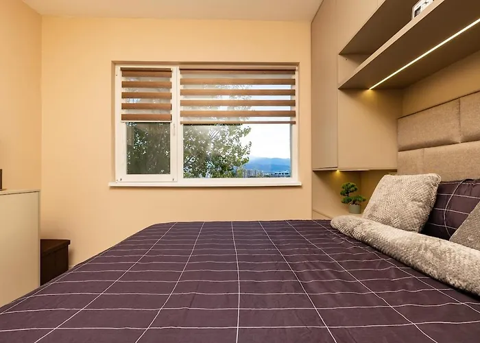 South Beautiful Vaptsarov *