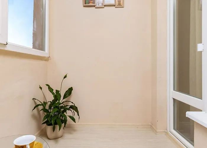 South Beautiful Vaptsarov *